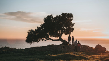 tim-mossholder-gOOCPIsJV2Y-unsplash